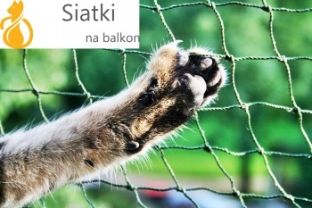 Siatka dla kota na balkon